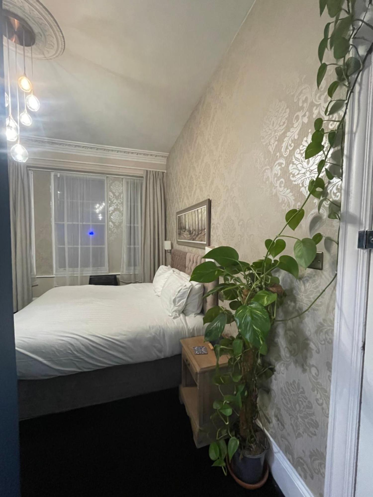 トーキー The Montana Bed & Breakfast エクステリア 写真
